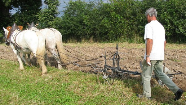  - 7juillet2007_brabant